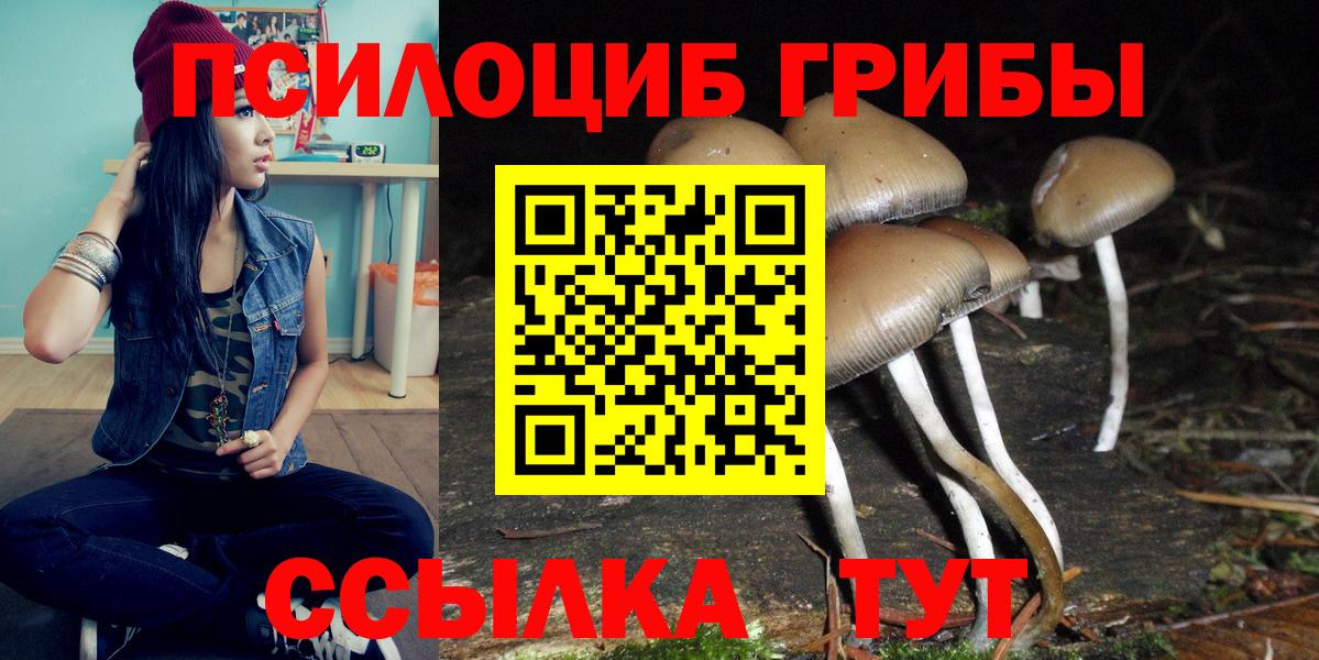 Нальчик  Псилоцибиновые грибы Cubensis  Псилоцибиновые грибы мухоморы  Вход с VPN 