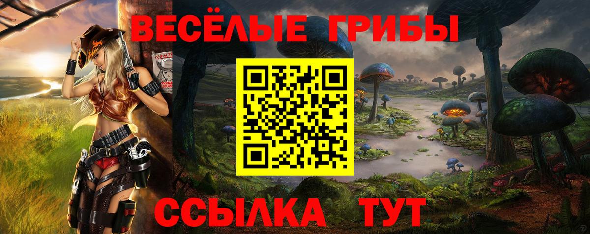 Галлюциногенные грибы MAGIC MUSHROOMS Нальчик