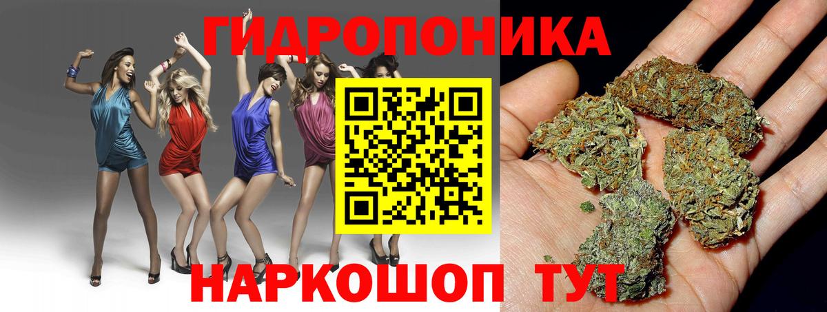 Каннабис VHQ  Вход с VPN  Нальчик  Шишки марихуана VHQ  Конопля семена 